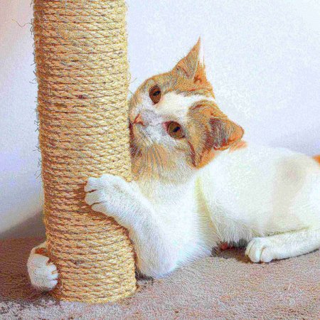Pet Adobe Pet Adobe Cat Scratching Post- Play Area with 3 Poles, Perch and Toys- 19.25 inch Tall 835979GCZ